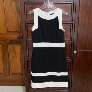 Women’s WHBM Dress; Black and Cream Color